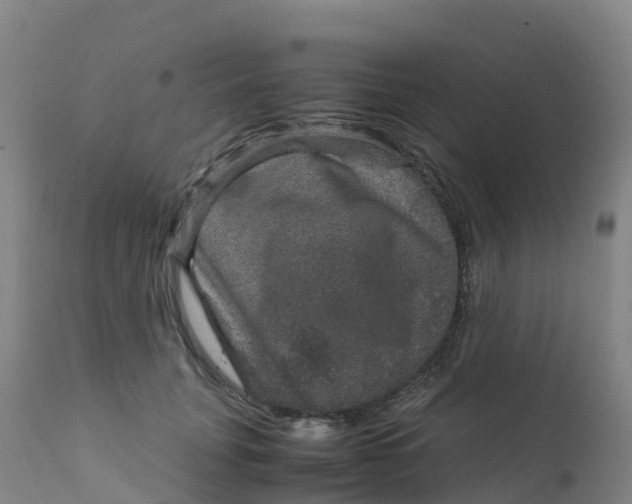 X0000111810751200908131459