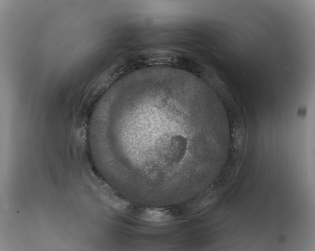 X0000111810753200908131459