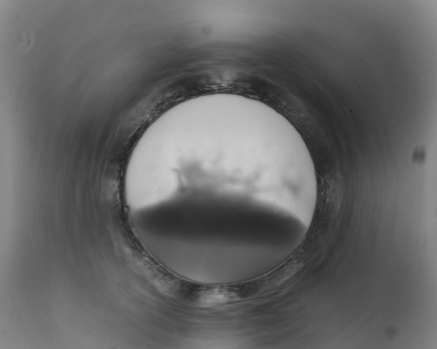 X0000111810754200908131459