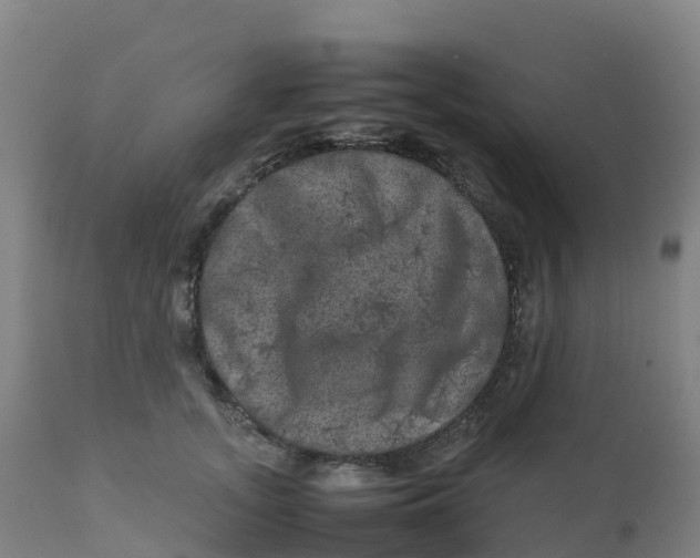 X0000111810755200908131459