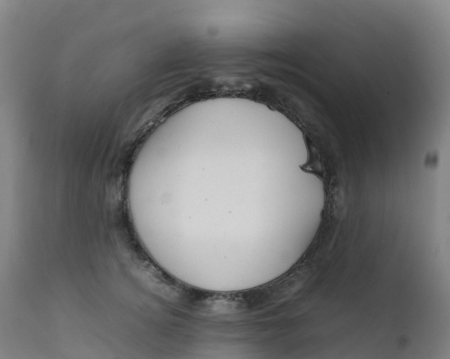 X0000111810756200908131459