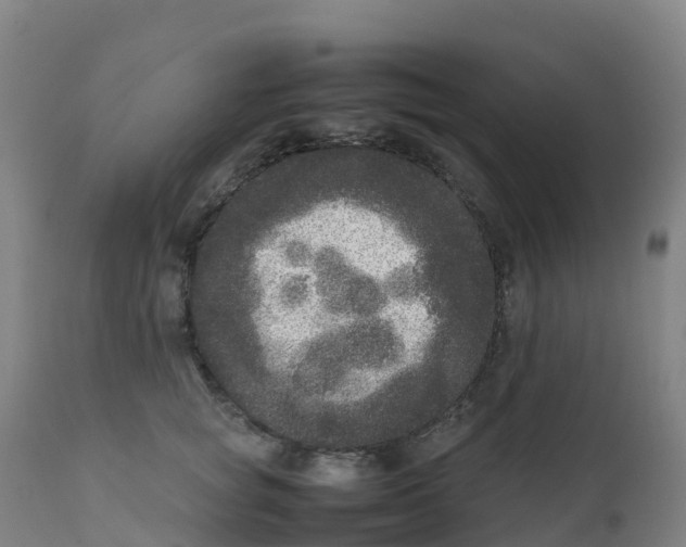 X0000111810757200908131459