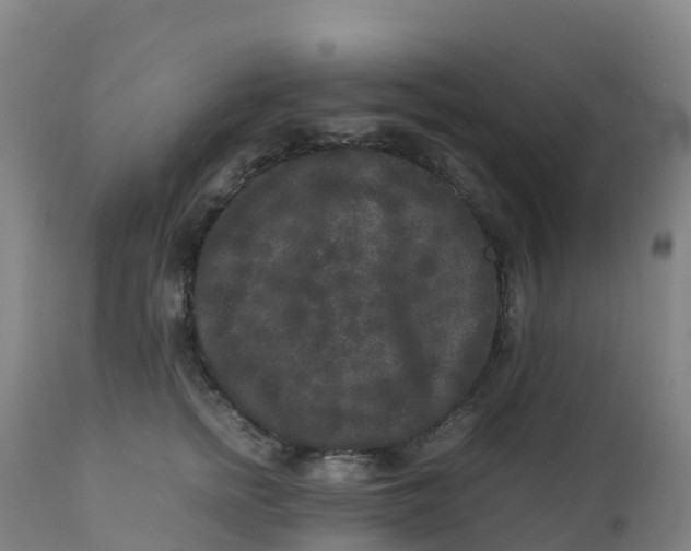 X0000111810758200908131459