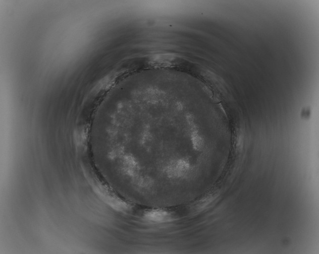 X0000111810759200908131459