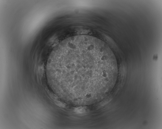 X0000111810761200908131459