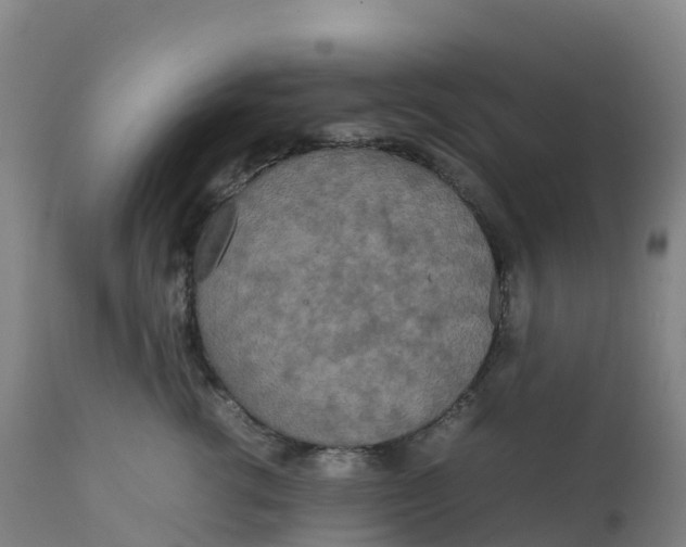 X0000111810762200908131459