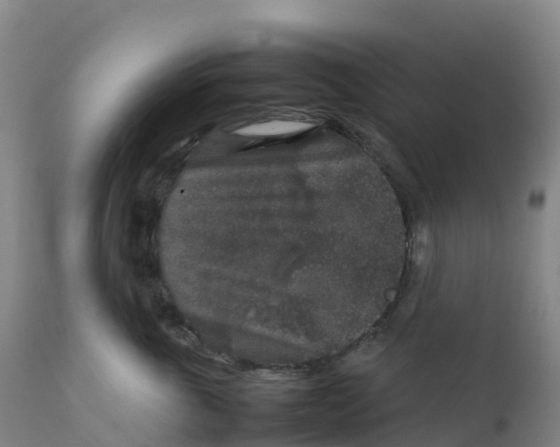 X0000111810763200908131459