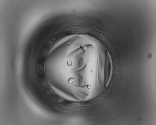 X0000111810764200908131459