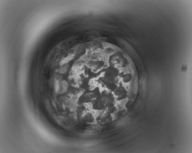 X0000111810765200908131459
