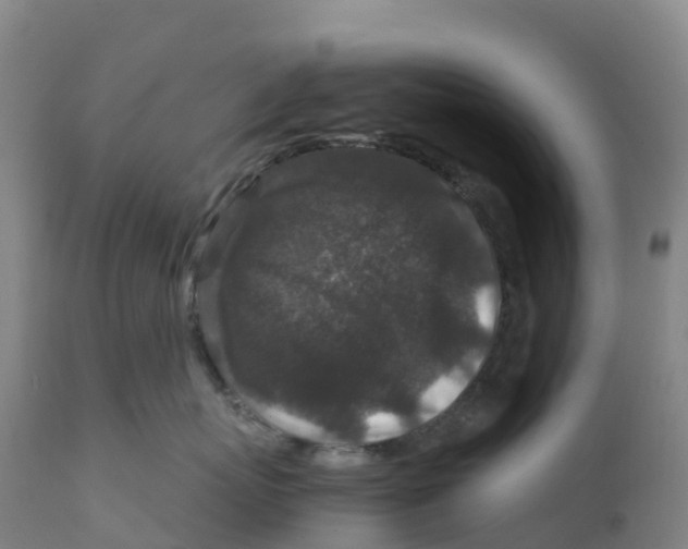 X0000111810767200908131459