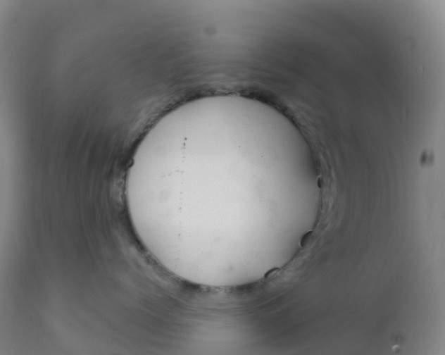 X0000111810768200908131459