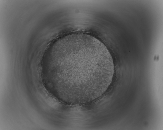 X0000111810769200908131458