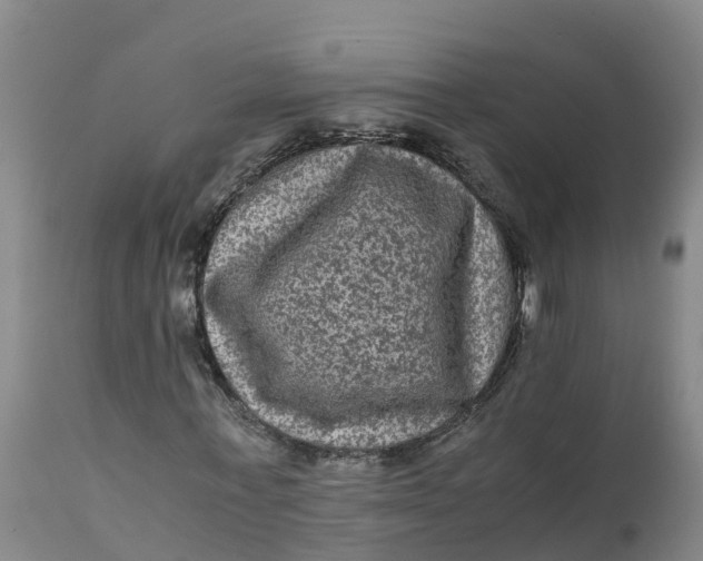X0000111810771200908131458