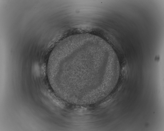 X0000111810772200908131458