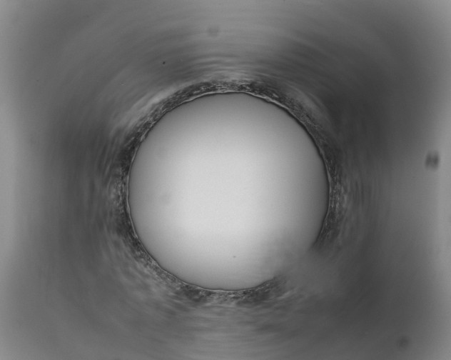 X0000111810773200908131458