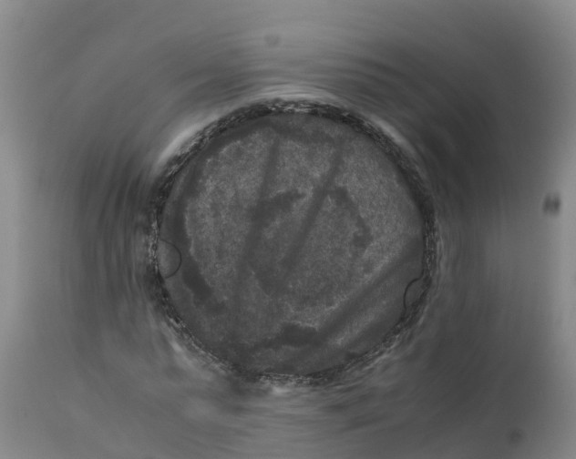 X0000111810775200908131458