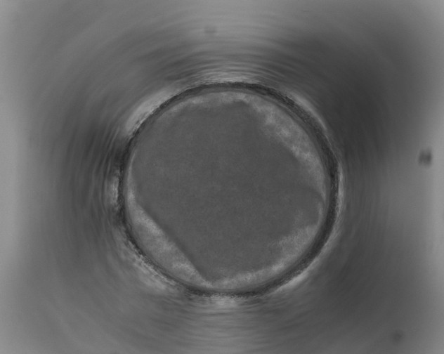 X0000111810777200908131458