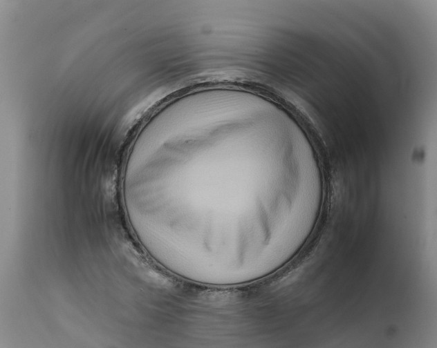 X0000111810778200908131458