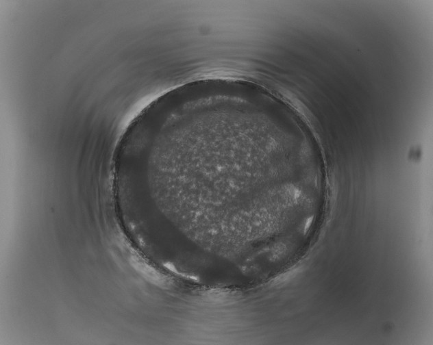 X0000111810779200908131458