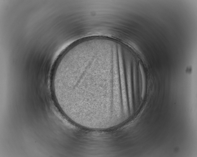 X0000111810780200908131458