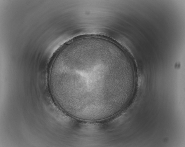 X0000111810781200908131458