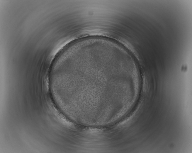 X0000111810782200908131458