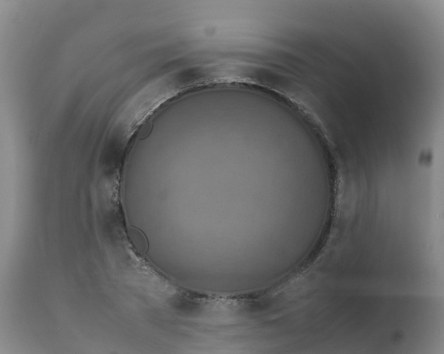 X0000111810785200908131458