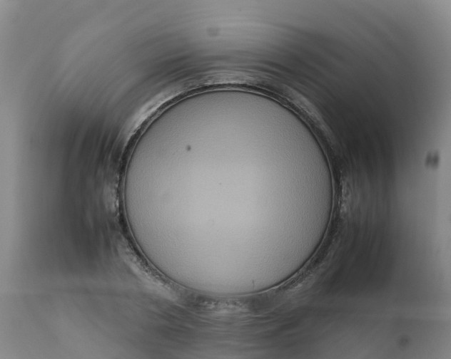 X0000111810786200908131458