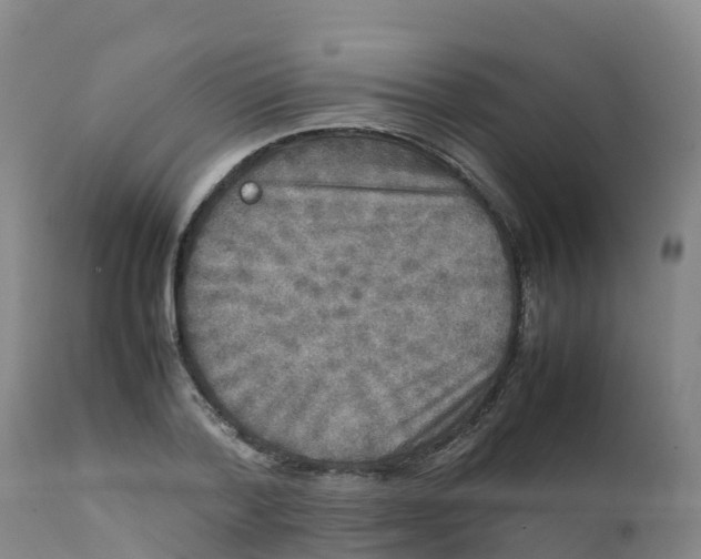 X0000111810788200908131458
