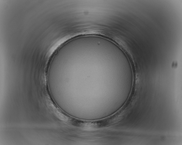 X0000111810789200908131458