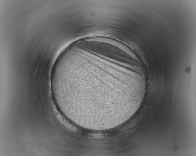 X0000111810792200908131458