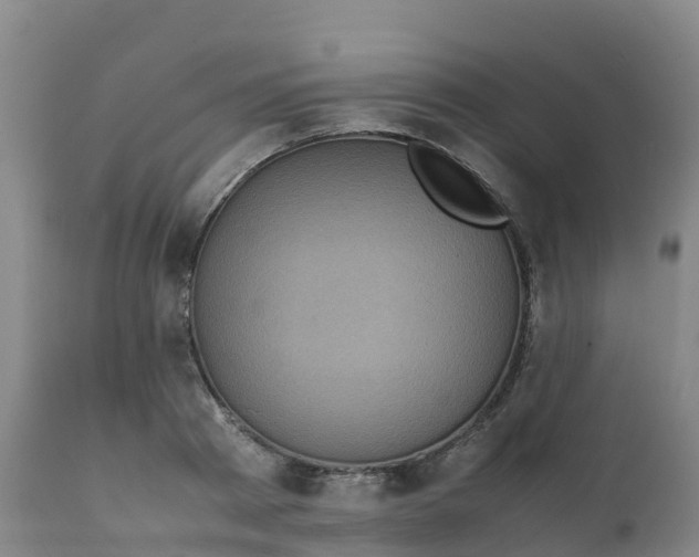 X0000111810793200908131458
