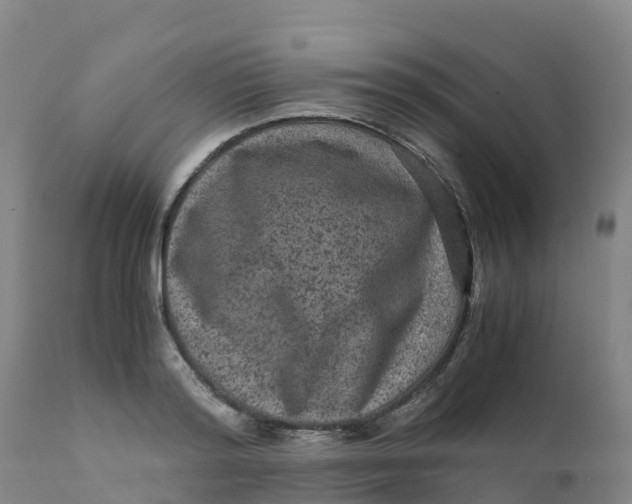 X0000111810796200908131458