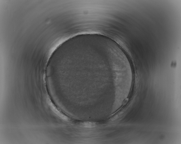 X0000111810797200908131458