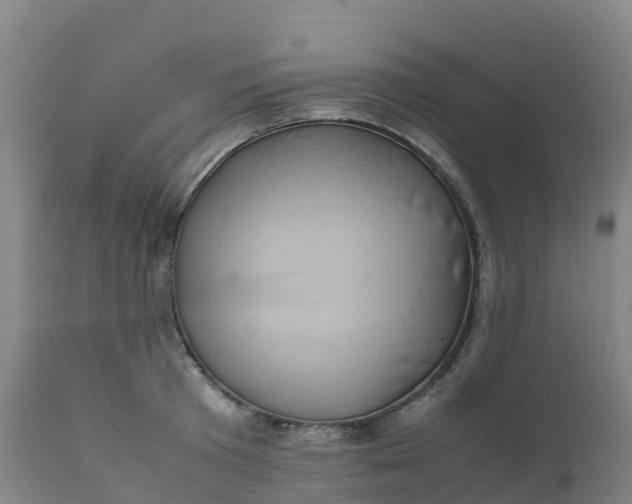 X0000111810801200908131458