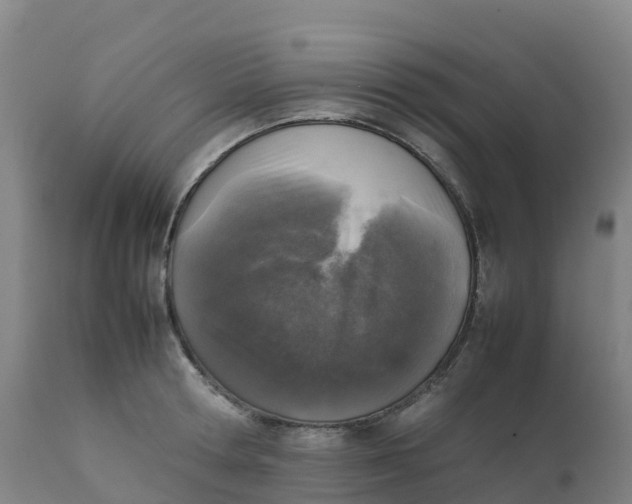 X0000111810802200908131458