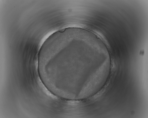 X0000111810804200908131458