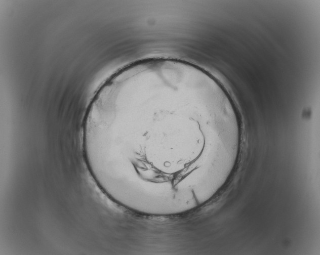 X0000111810807200908131458