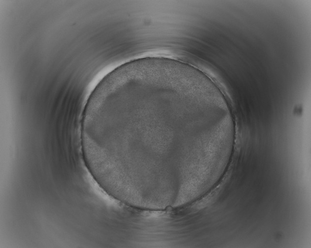 X0000111810808200908131458