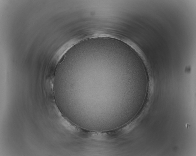 X0000111810809200908131458