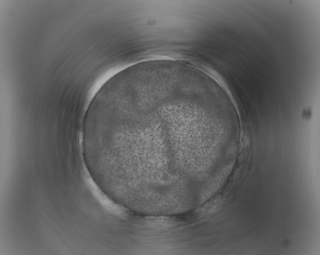 X0000111810811200908131458