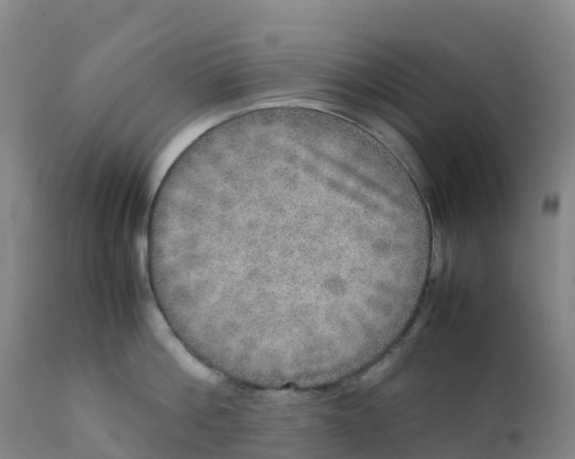X0000111810812200908131458