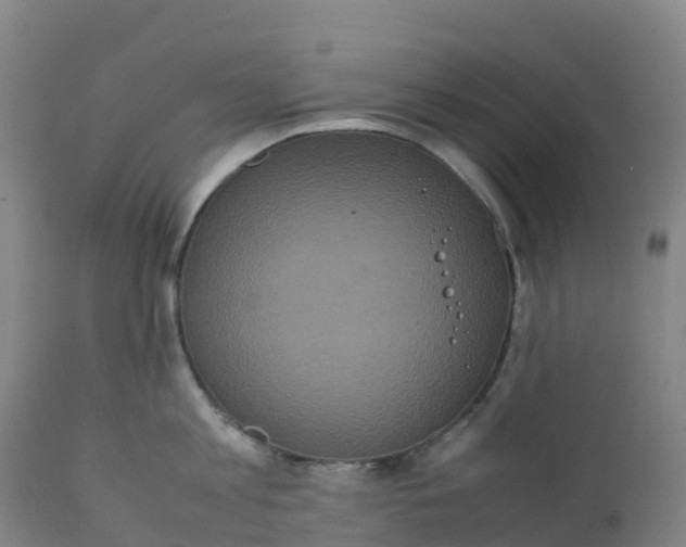 X0000111810813200908131458