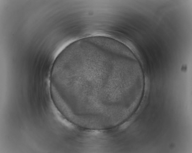 X0000111810814200908131458