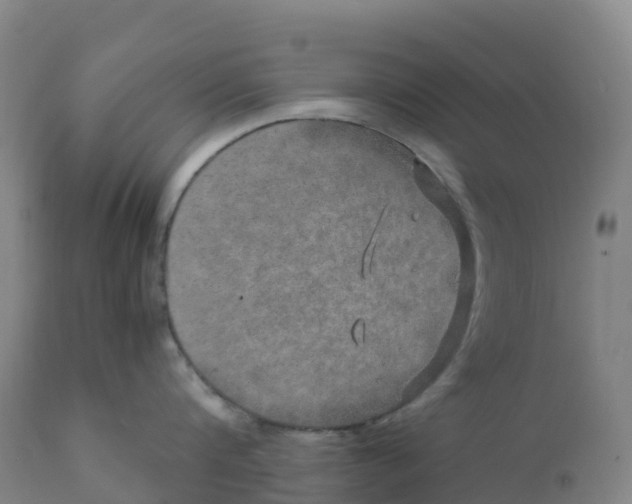 X0000111810816200908131457
