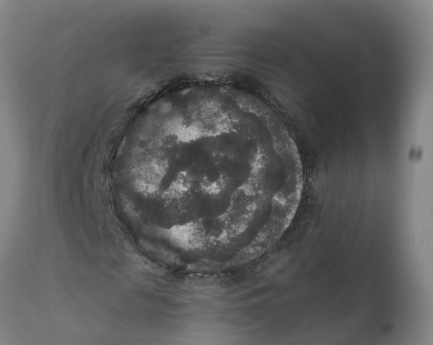 X0000111810817200908131457