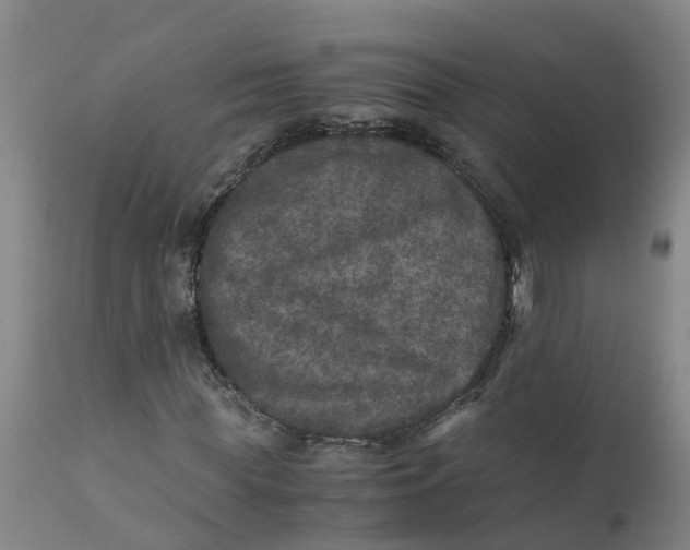 X0000111810819200908131457