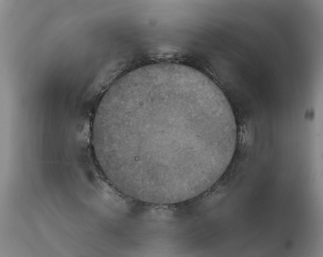 X0000111810820200908131457