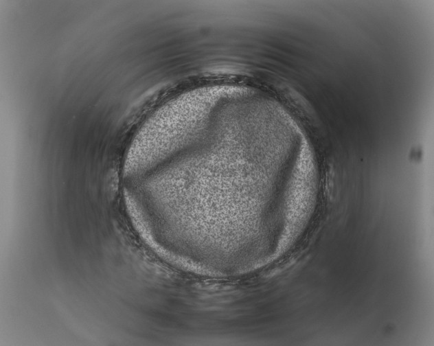X0000111810821200908131457