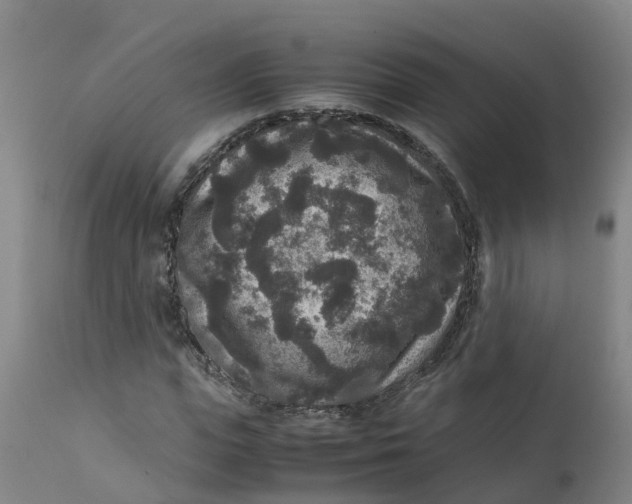 X0000111810823200908131457